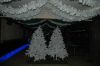 DSC_2479.jpg