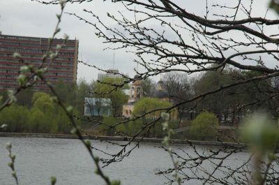 Школа танцев Vesta