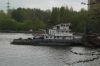 DSC_6496.jpg