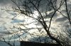 DSC_6715.jpg