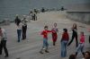 DSC_6866.jpg