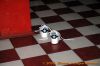 DSC_0143.JPG