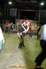 DSC_0707.JPG