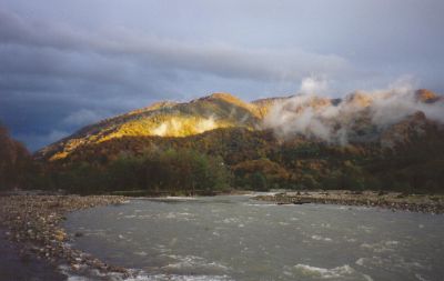 Школа танцев Vesta