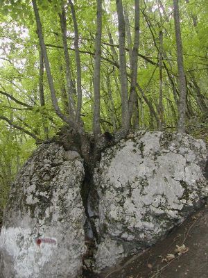 Школа танцев Vesta