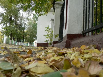 Школа танцев Vesta