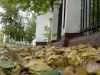 priroda_Kurgeeva_I_V___osen__v_parke.JPG