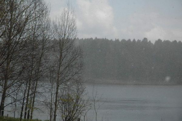 Школа танцев Vesta
