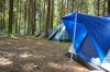 dsc_4126.jpg