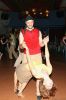 IMG_2206_web.jpg