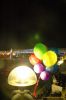 DSC_9410.JPG