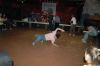 DSC_0033.JPG