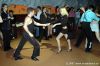 DSC_2385.JPG