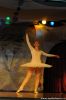 107_DSC_2439.JPG