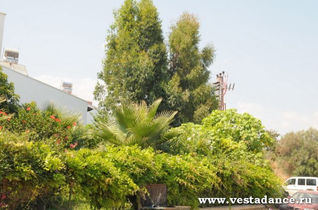 Школа танцев Vesta