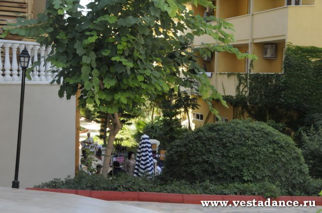 Школа танцев Vesta