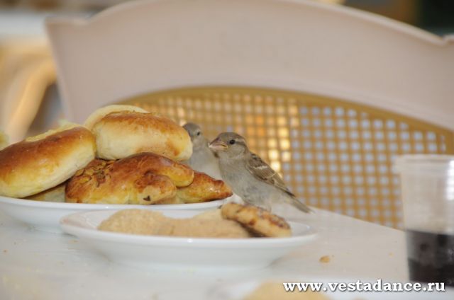 Школа танцев Vesta
