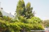 DSC_8883.JPG
