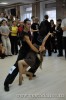 Имя файла=DSC_3750.JPG
Размер файла=67КБ
Размеры=425x640
Дата=Окт 12, 2010 DSC_3750.JPG