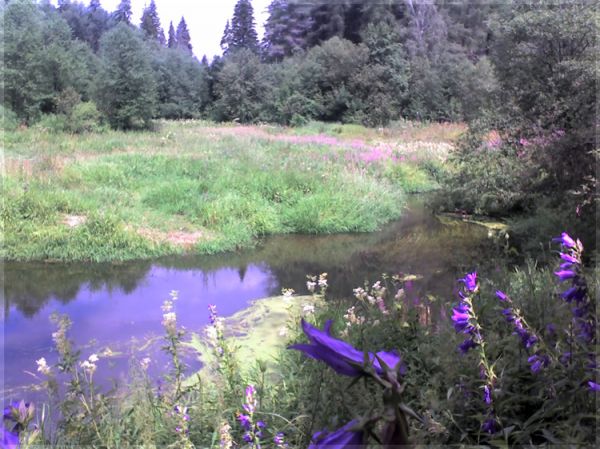 Школа танцев Vesta