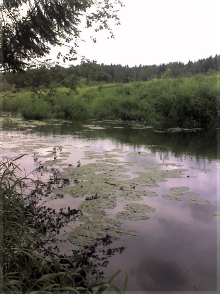 Школа танцев Vesta